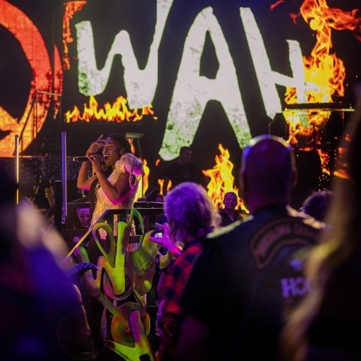 Ocio y Cultura Madrid